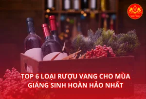 Top 6 loại rượu vang cho mùa giáng sinh hoàn hảo nhất 2